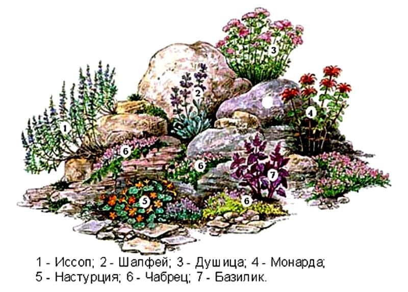 Создание рокария на участке — мастер класс