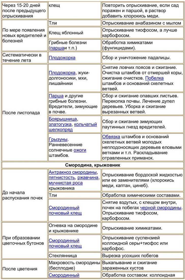 Борьба с болезнями сада: план осенних обработок