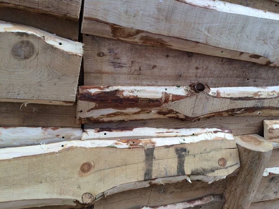 Почему у древних зодчих не гнили срубы: секрет, которому тысяча лет