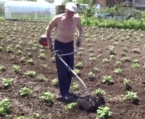 Насадки на мотокосу (бензиновый триммер): особенности и виды
