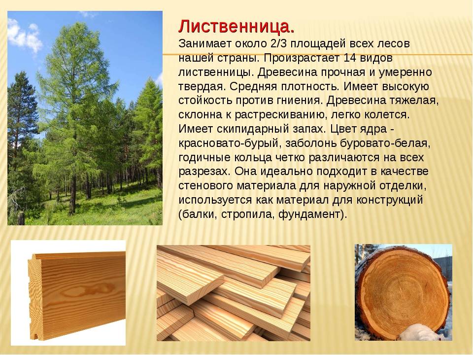 Советы по выбору деревянного дома