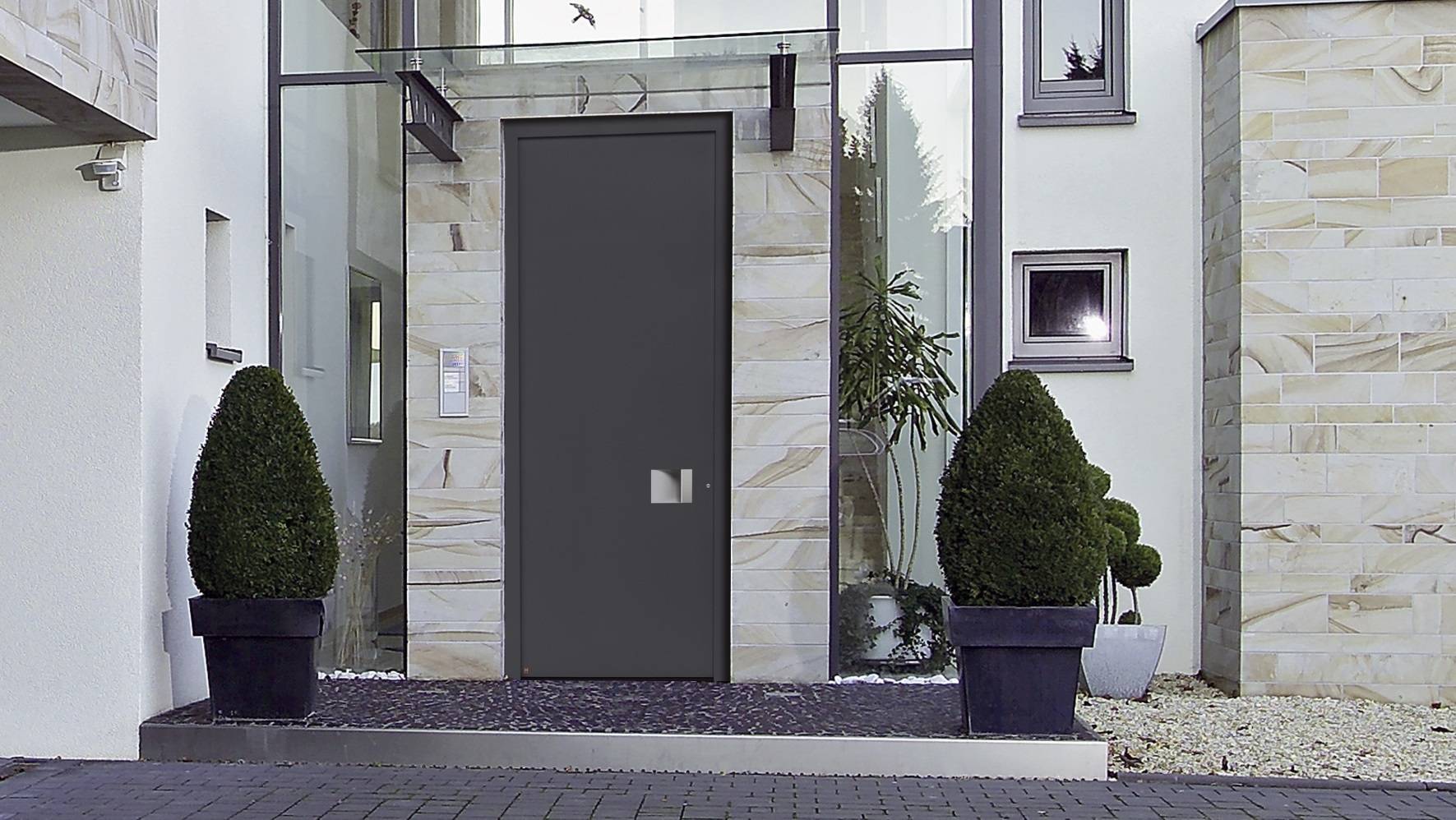 Алюминиевые двери (60 фото): входные глухие изделия и со стеклом из профиля, теплые системы для частного дома, особенности конструкции