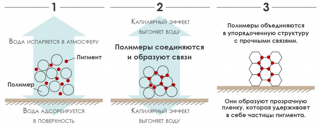 Акриловые краски для рисования: разновидности художественных красок и преимущества акрила | в мире краски