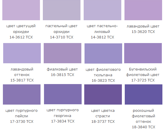 Как выглядит лиловый цвет картинки