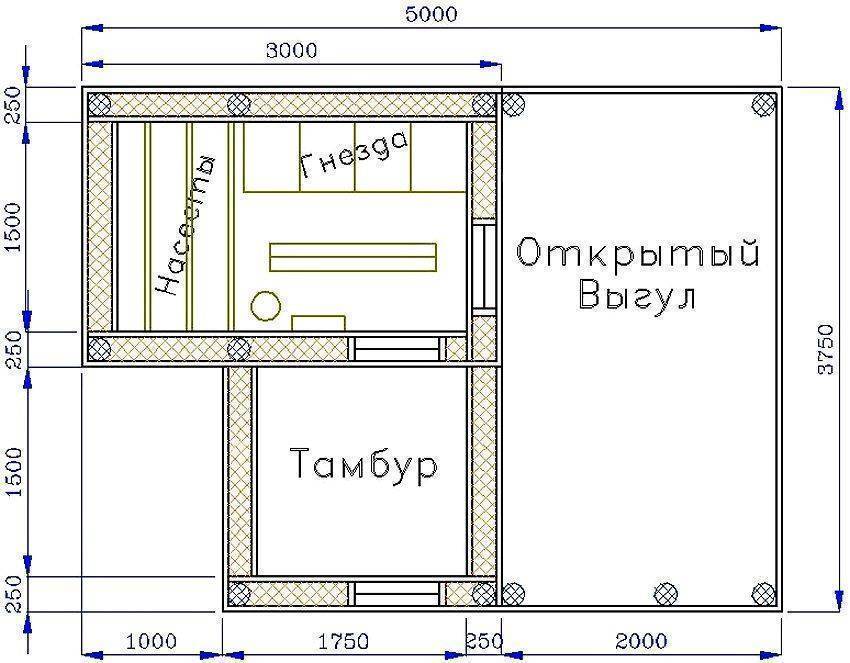 Как построить курятник на 50 или 200 кур: инструкция, чертежи и видео