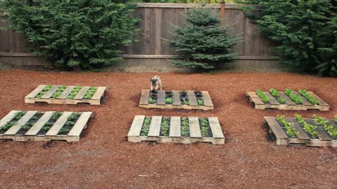 Поделки для дачи из подручных материалов своими руками (новинки с фото)