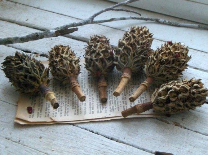 Поделки в садик своими руками: творческие идеи дизайна и лучшие примеры работ мастеров (115 фото)