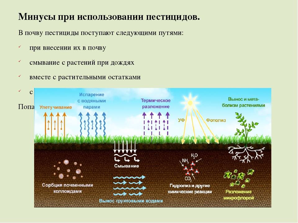 Влияние окружающей среды на почву. Воздействие пестицидов на почву. Пестициды в почве. Химические удобрения. Загрязнение почвы пестицидами.