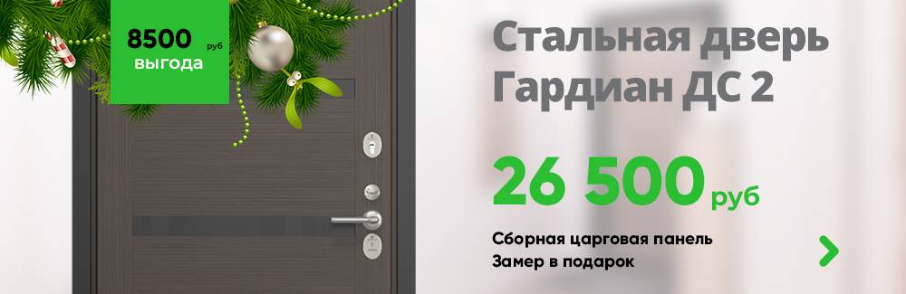 Стальная дверь дс 2