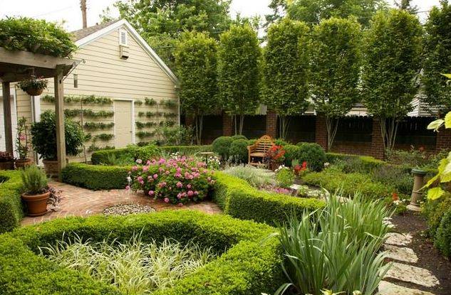Декоративные растения: 115 фото идей оформления сада и участка