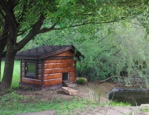 Утятник своими руками: размеры, чертежи и обустройство