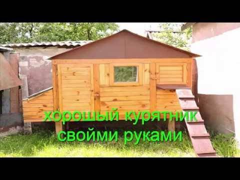 Зимний курятник своими руками - расчет размеров, постройка, внутреннее обустройство, отопительная система, дворик для выгула