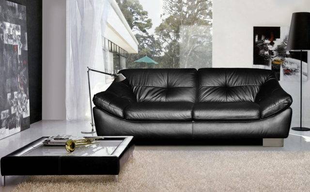 Черный диван (62 фото): модели в интерьере из кожзама, экокожи и кожи, тканевый в черном цвете, в стиле лофт на ножках, черно-белые варианты