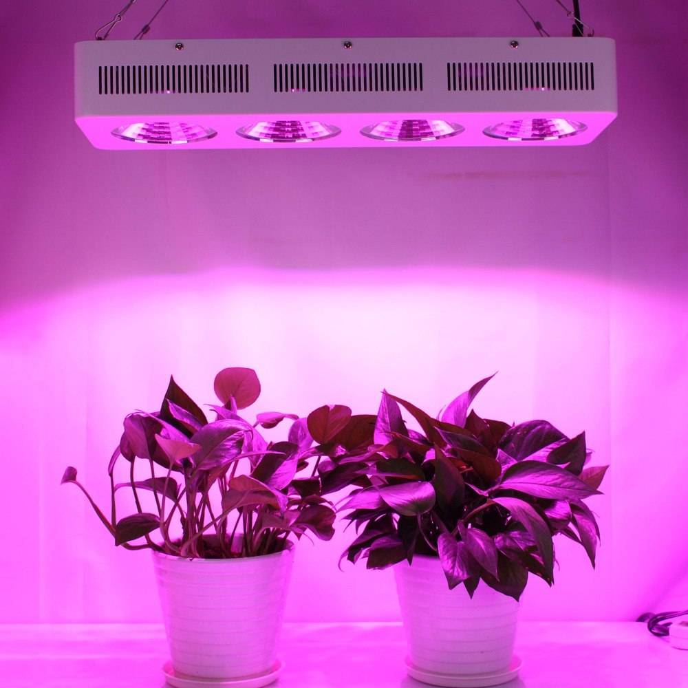 Лампы для растений (45 фото): как выбрать подходящую?