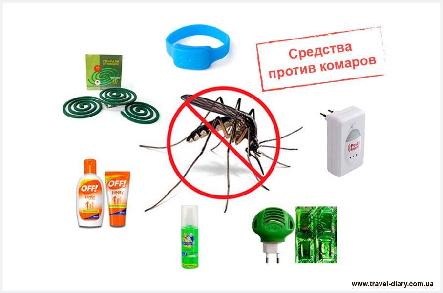 Самые эффективные методы избавления от комаров в квартире. как убить комаров в домашних условиях правильно?