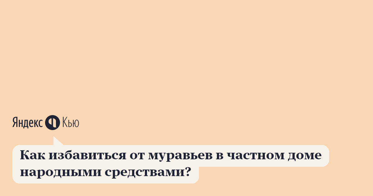 Как избавиться от муравьев в частном доме