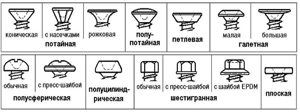 Чем отличается саморез от шурупа?