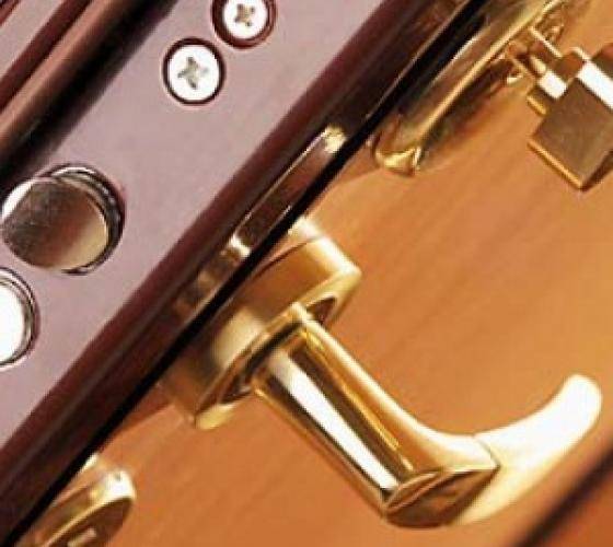 Как выбрать входную металлическую дверь: советы профессионала