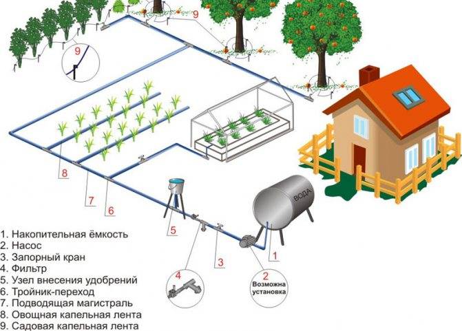 Как сделать капельный полив на даче — рассказываем обстоятельно