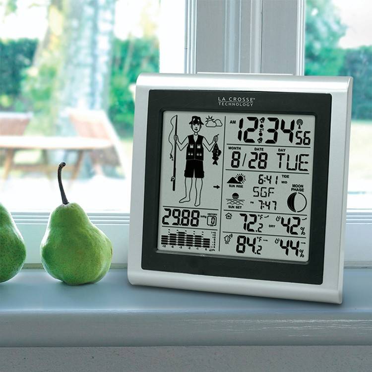 12 лучших домашних метеостанций