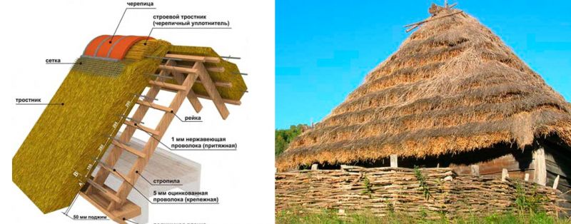 Крыша из камыша плюсы и минусы