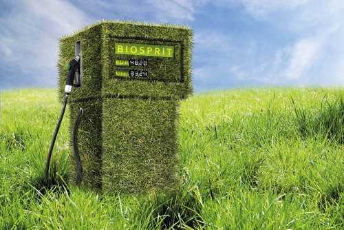 Биотопливо своими руками, как сделать биотопливо в домашних условиях, виды и преимущества биотоплива