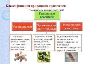 Какую краску нужно выбрать для внутренней отделки помещения