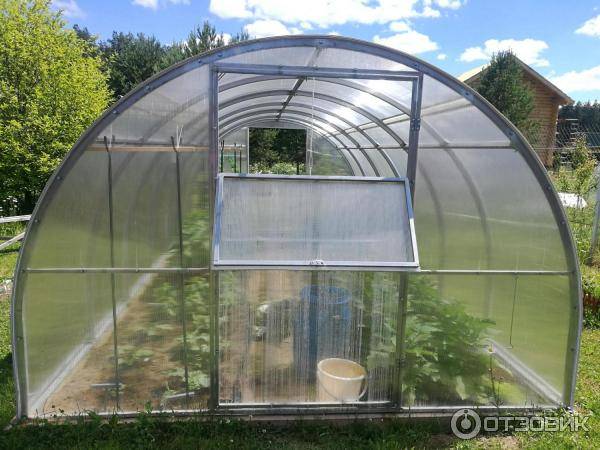 Парники из поликарбоната с открывающимся верхом своими руками. из чего лучше сделать теплицу с откатной или открывающейся крышей? | дачная жизнь