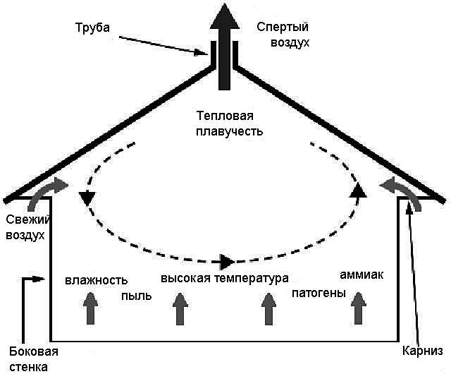 Вентиляция в сарае своими руками: принципы работы, плюсы и минусы, схема, а также как правильно сделать в помещении с животными – курами и свиньями?