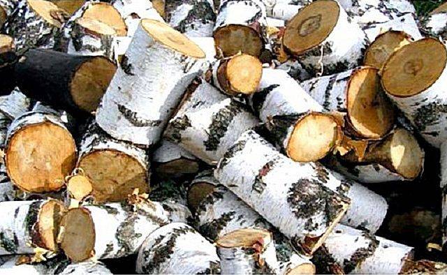 Какими дровами лучше топить печь, особенности разных пород дерева