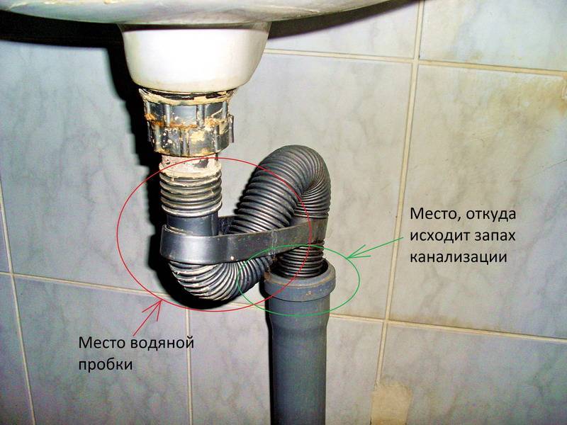 Как устранить запах из раковины на кухне: лучшие способы, определение причин