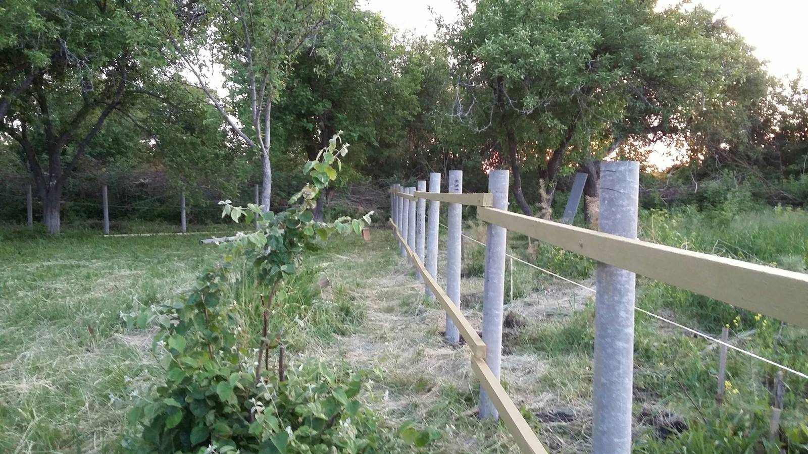 Забор из шифера своими руками