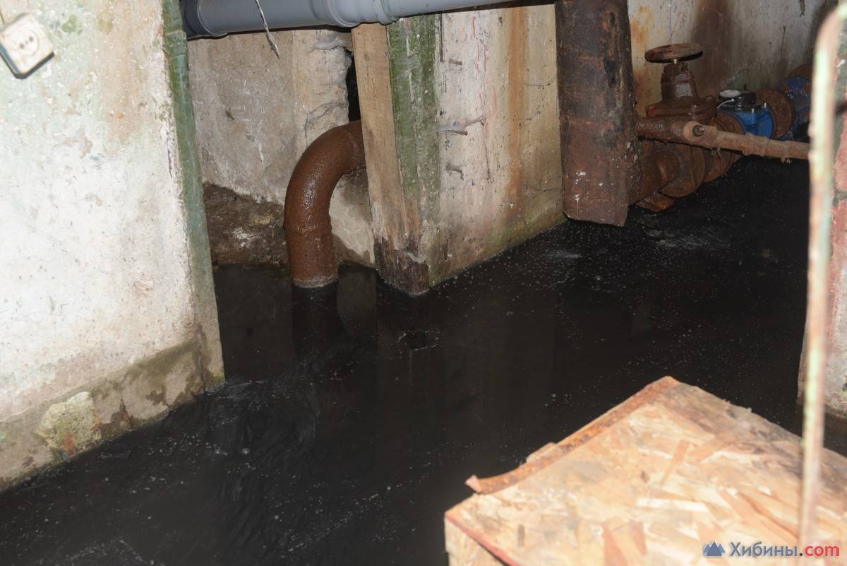вода в подвале управляющая компания