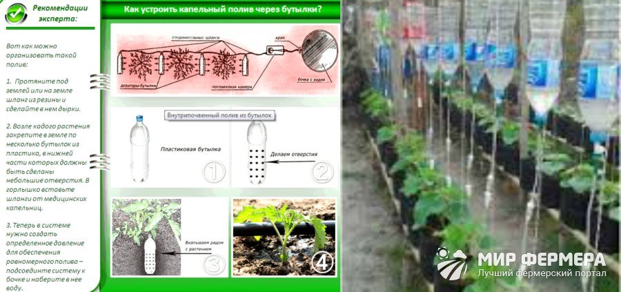 Капельный полив в теплице своими руками: полезные рекомендации