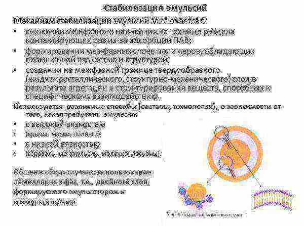 Латексная краска или акриловая: что лучше? отзывы, характеристика