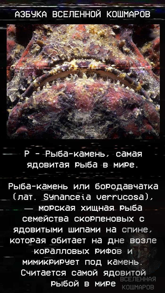 15 ужасных фактов, которые ты захочешь поскорее забыть