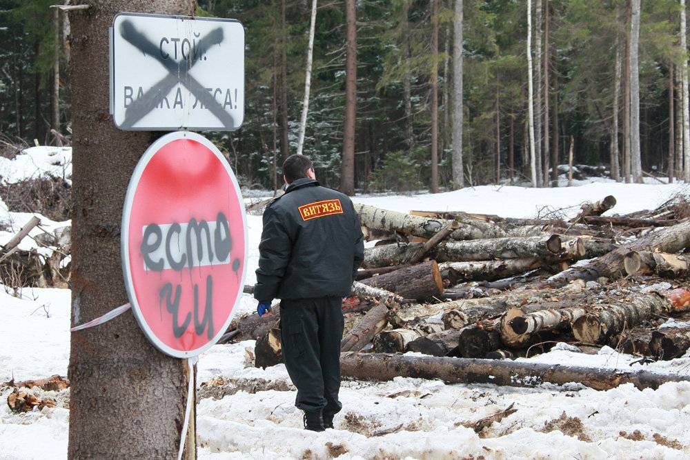 Закон о валежнике и сухостое в 2019 году: можно ли забирать из леса поваленные и высохшие деревья?