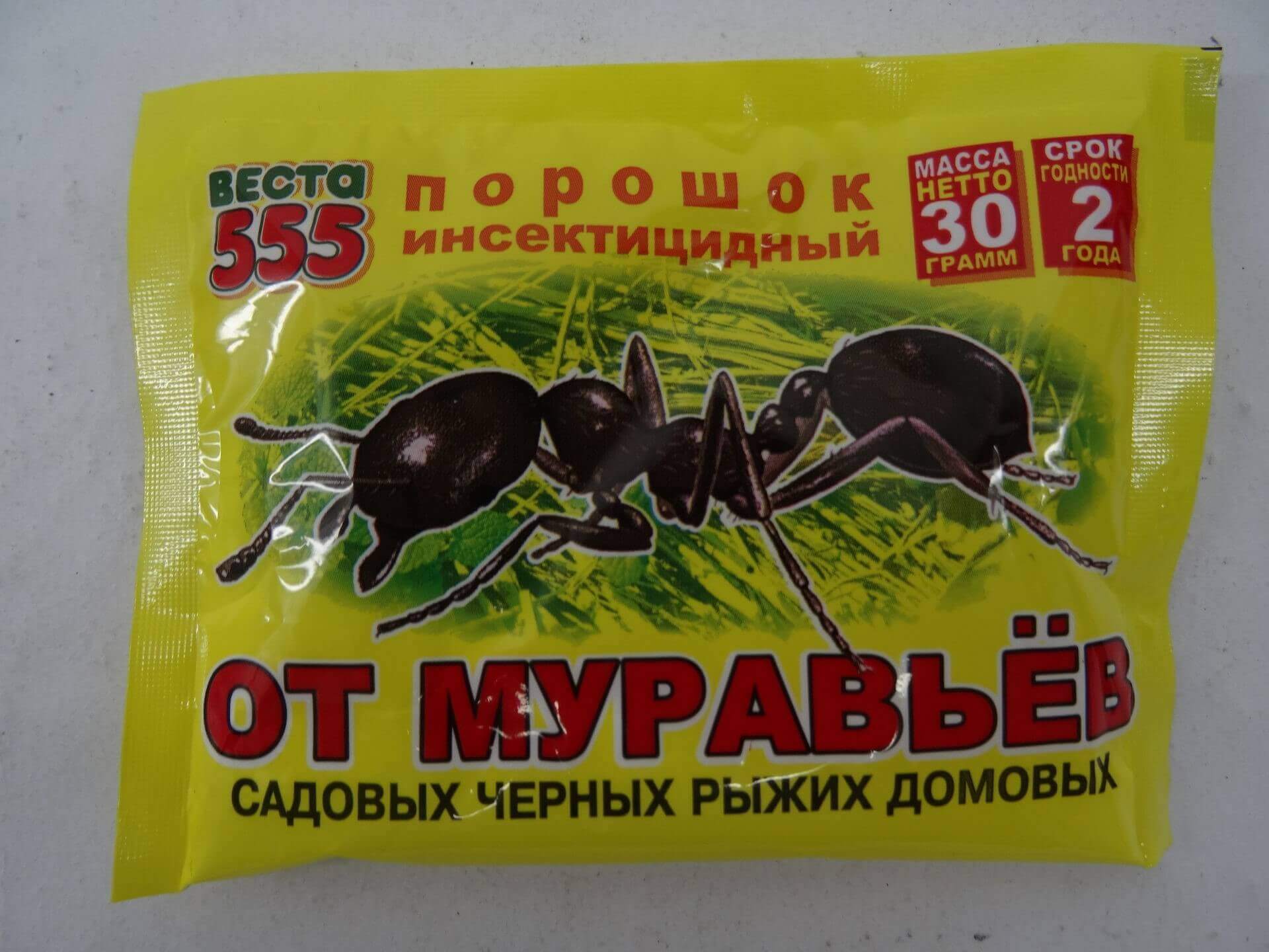 Как избавиться от муравьев в доме и квартире, вывести домашних муравьев навсегда самостоятельно, эффективные средства