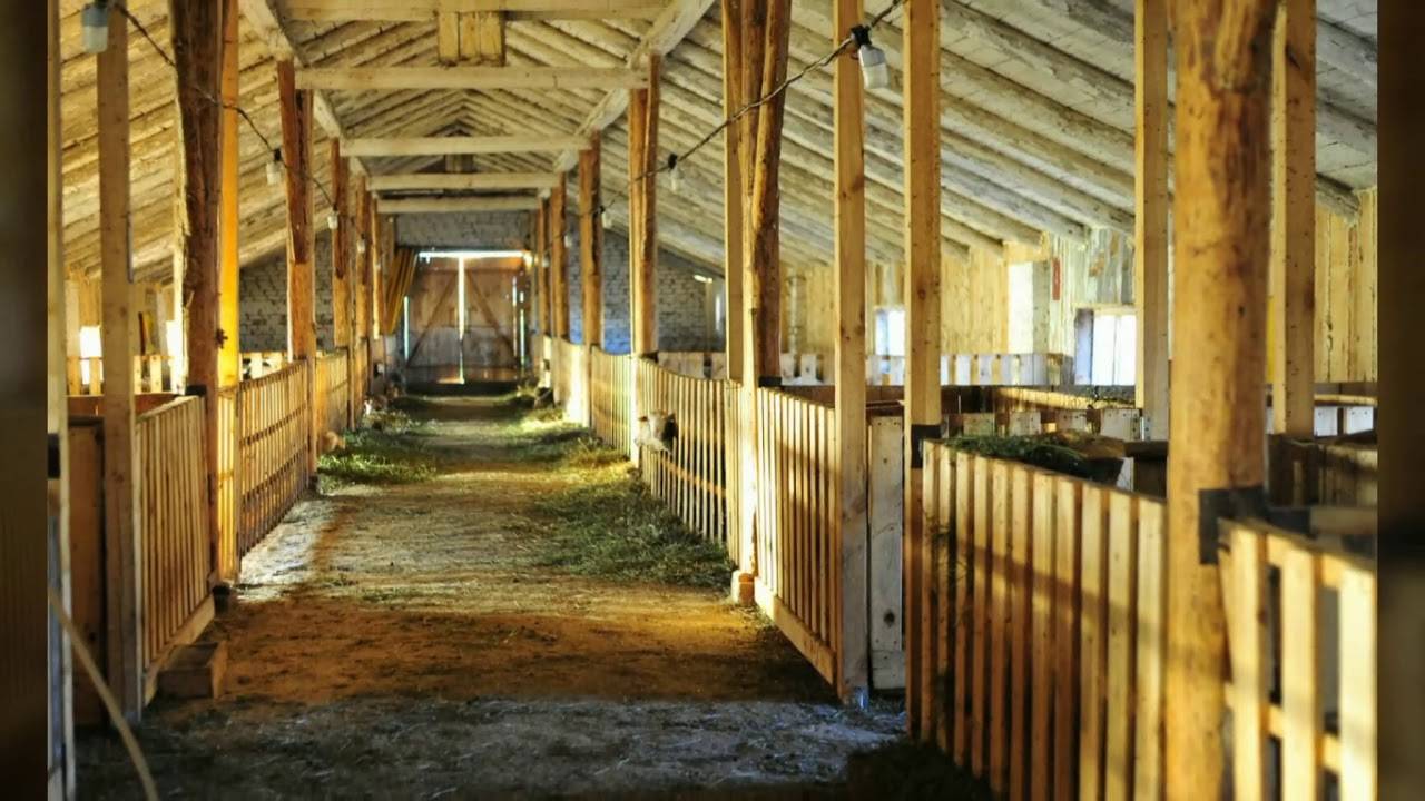Овчарня для овец своими руками. чертежи, советы, фото и видео