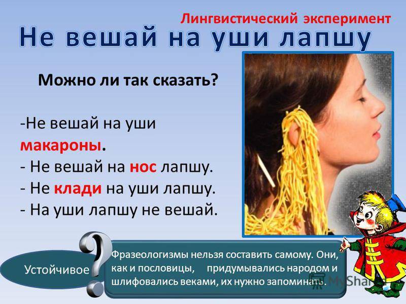 Сказки про теплицы: какую лапшу вешают на уши продавцы