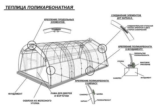 Теплица из поликарбоната своими руками (100 фото): фундамент и сборка, как сделать домашних условиях, тонкости установки