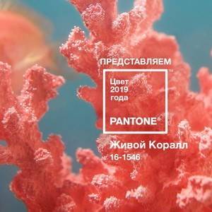 Идеи! с чем носить коралловое платье 83 фото летом